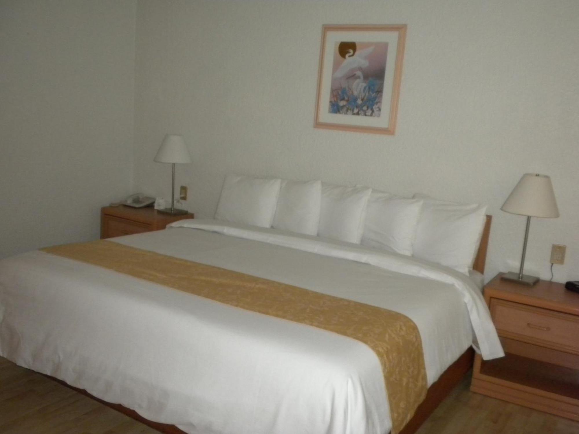 Hotel Pf Mexico by Eksteriør bilde