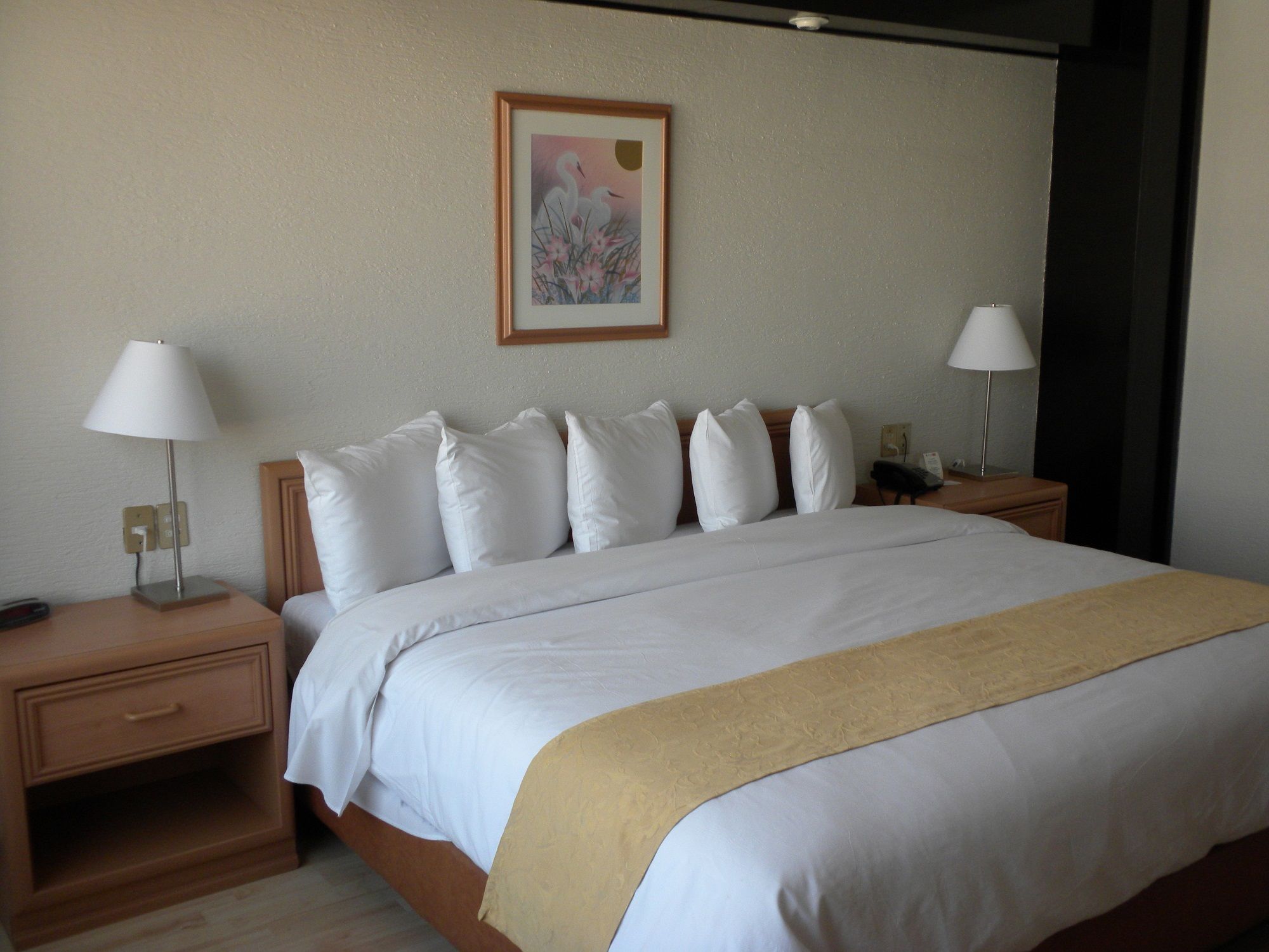 Hotel Pf Mexico by Eksteriør bilde
