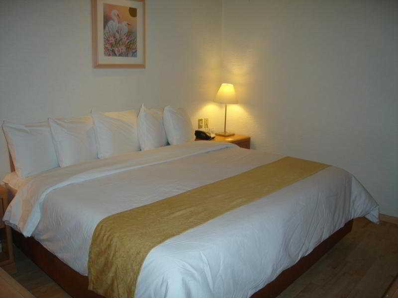 Hotel Pf Mexico by Eksteriør bilde